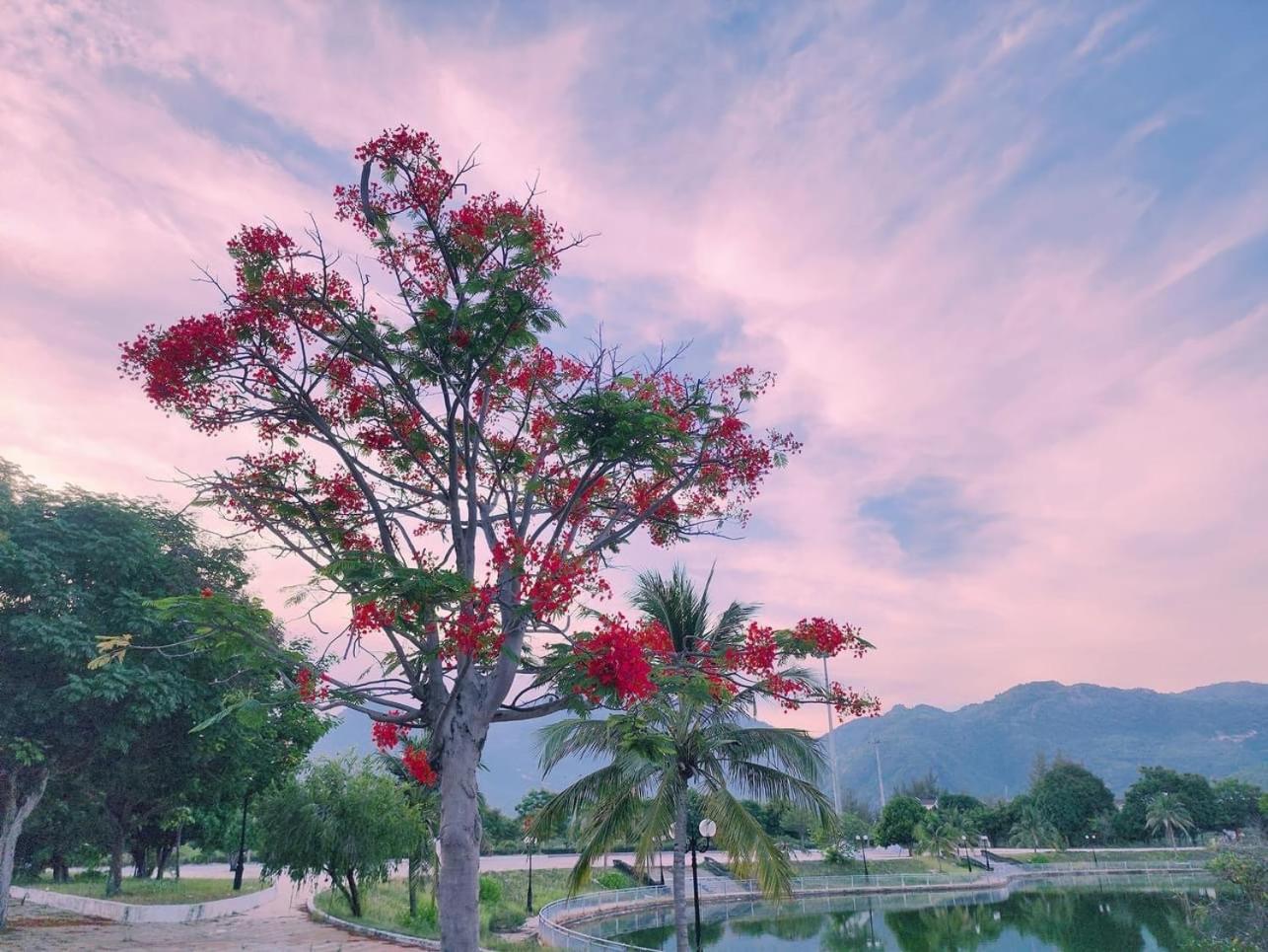Moc Homestay- Near Bai Dai Beach Cam Lam 外观 照片
