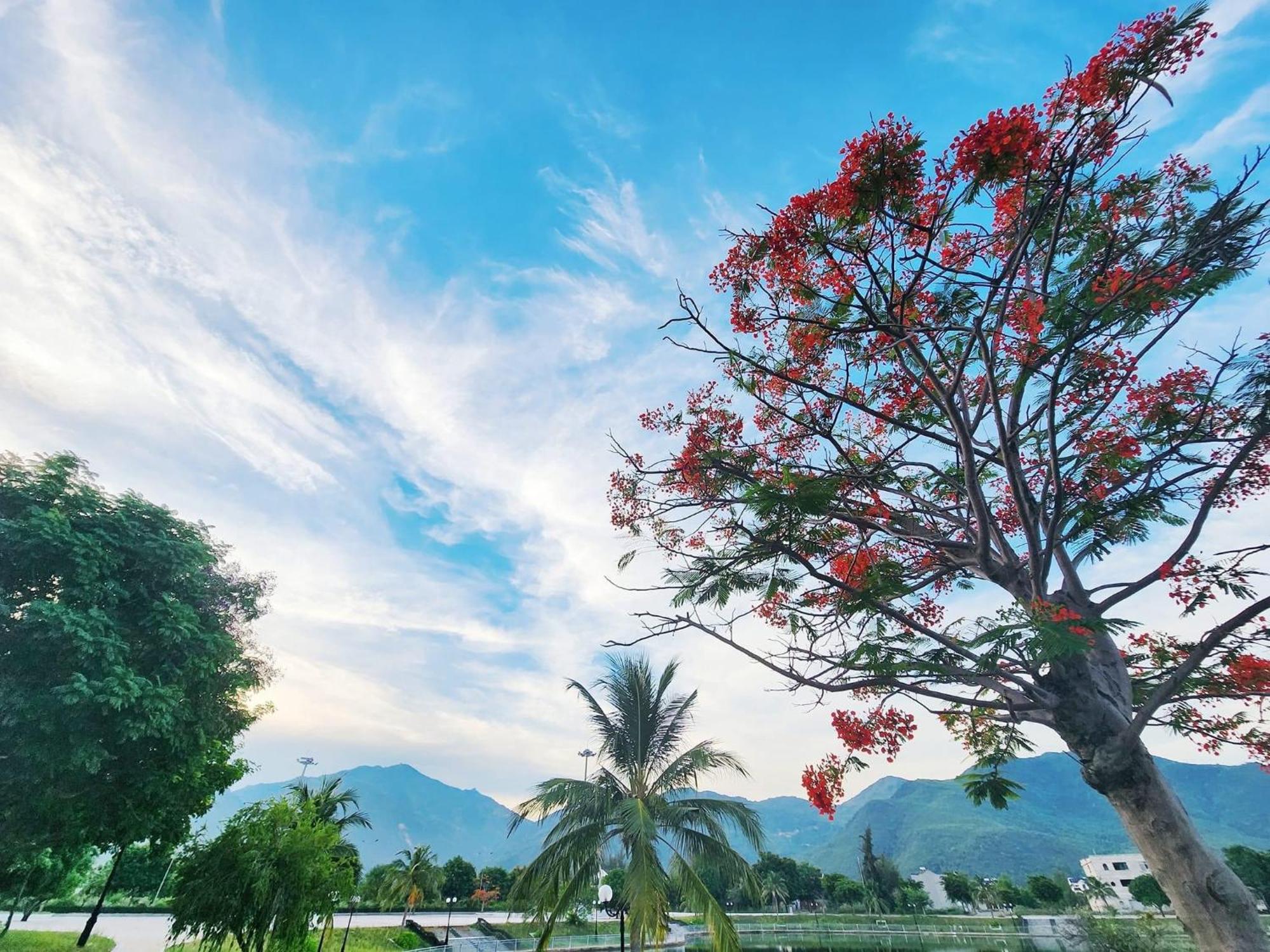 Moc Homestay- Near Bai Dai Beach Cam Lam 外观 照片