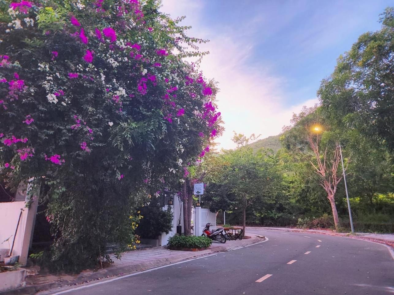 Moc Homestay- Near Bai Dai Beach Cam Lam 外观 照片