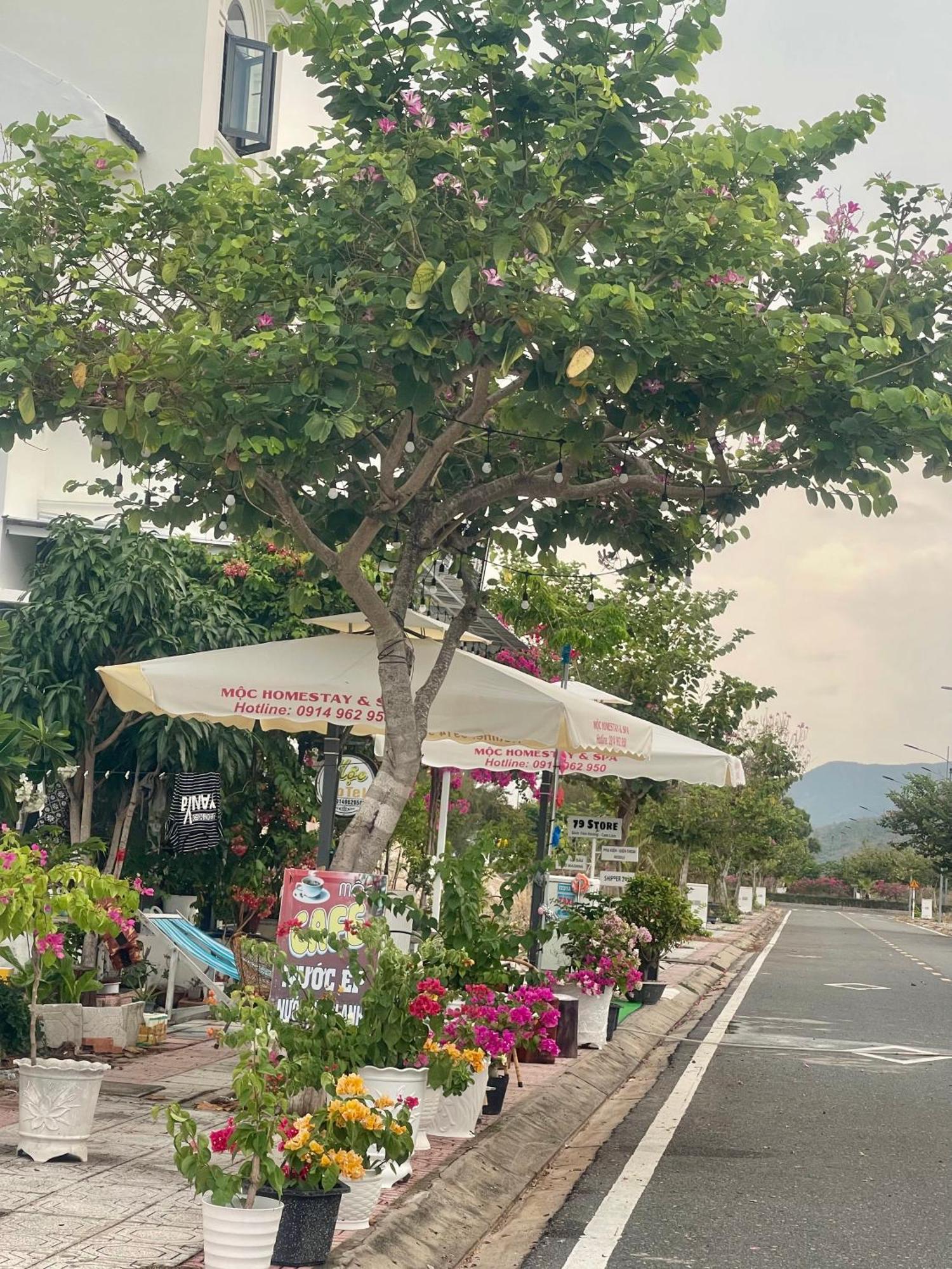 Moc Homestay- Near Bai Dai Beach Cam Lam 外观 照片